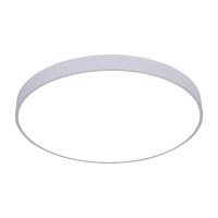 Светодиодный накладной светильник Arte Lamp Arena A2671PL-1WH