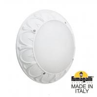 Уличный настенно-потолочный светильник FUMAGALLI RITA 1T3.000.000.WYE27