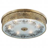Потолочная люстра Odeon Light ASTER 2782/6C