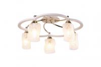 Потолочная люстра Arte Lamp GIANNI A6166PL-5WG