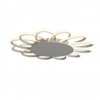Светодиодная потолочная люстра ST Luce CAMOMILLA SL828.512.12