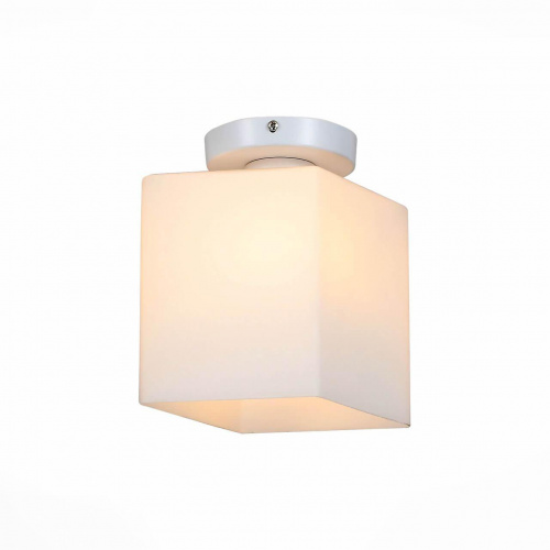 Потолочный светильник ST Luce ASPETTO SL548.501.01