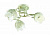Потолочная люстра LUMION FLORANA 3002/3C