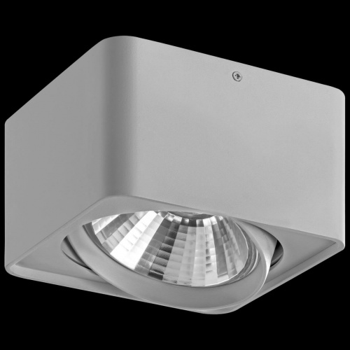 Накладной светильник Lightstar Monocco 212619