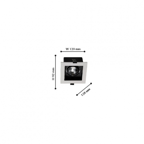 Светильник FAVOURITE Flashled 1988-1C