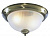Потолочный светильник Arte Lamp AQUA A9370PL-2AB