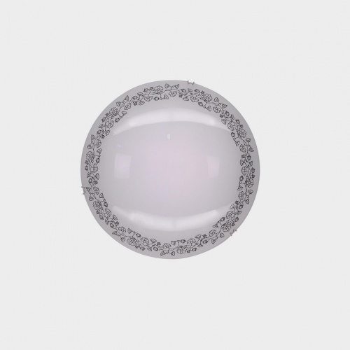 Светодиодный настенно-потолочный светильник CITILUX Вьюнок CL917010