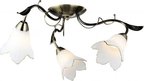 Потолочная люстра Arte Lamp BARBARA A6066PL-3AB купить по низкой цене