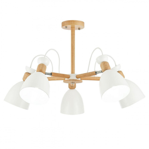 Потолочная люстра Evoluce Balcamo SLE103802-05 купить по низкой цене