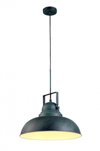 Потолочный светильник Arte Lamp MARTIN A5213SP-1BG