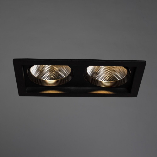 Светодиодный встраиваемый светильник Arte Lamp PRIVATO A7007PL-2BK