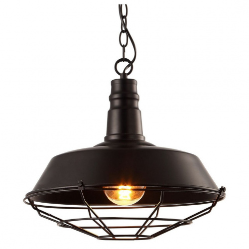 Подвесной светильник Arte Lamp Ferrico Black A9183SP-1BK