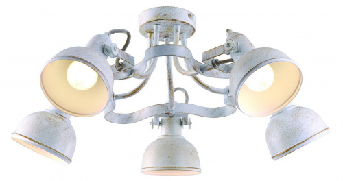 Потолочная люстра Arte Lamp MARTIN A5216PL-5WG купить по низкой цене