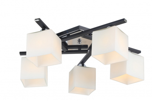 Потолочный светильник Arte Lamp VISUALE A8165PL-5BK
