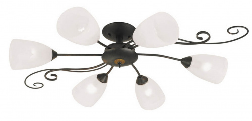 Потолочная люстра Arte Lamp RONDO A7310PL-6BR купить по низкой цене
