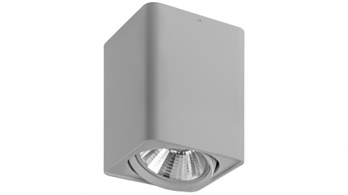 Потолочный светильник Lightstar Monocco 212639