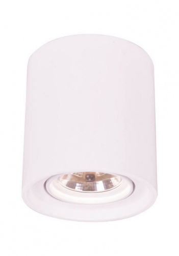 Накладной светильник Arte Lamp TUBO A9262PL-1WH
