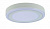 Светодиодный потолочный светильник Arte Lamp ANTARES A7824PL-2WH
