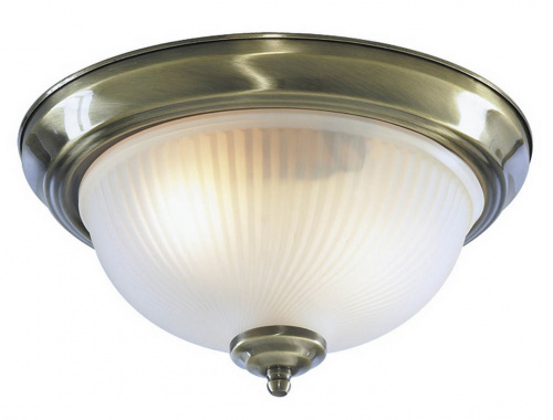 Потолочный светильник Arte Lamp AQUA A9370PL-2AB