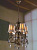 Подвесная люстра Larte Luce BLISS L54904.24