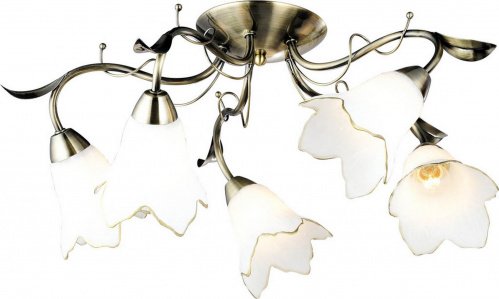 Потолочная люстра Arte Lamp BARBARA A6066PL-5AB купить по низкой цене