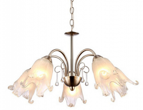 Подвесная люстра Arte Lamp SUSSURRO A7957LM-5SS купить по низкой цене