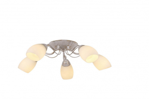 Потолочная люстра Arte Lamp CARLO A8105PL-5WG купить по низкой цене