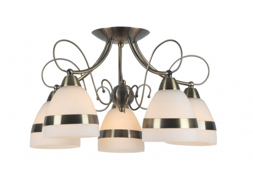 Потолочная люстра Arte Lamp NOEMI A6192PL-5AB купить по низкой цене