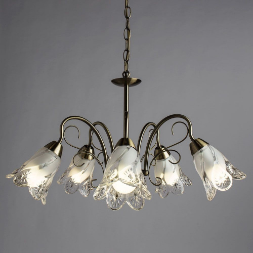 Подвесная люстра Arte Lamp FIORITA A6273LM-5AB купить по низкой цене
