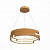 Светодиодная подвесная люстра ST Luce GENUINE SL963.703.01