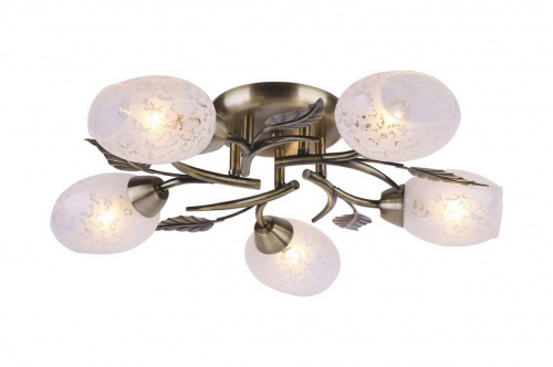 Потолочная люстра Arte Lamp ANETTA A6157PL-5AB купить по низкой цене