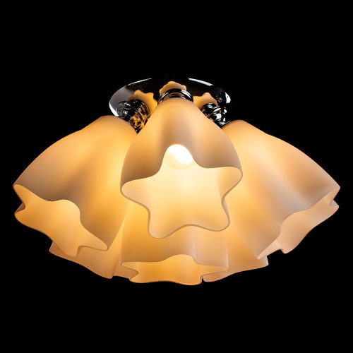 Потолочная люстра Arte Lamp CANZONE A3469PL-6CC купить по низкой цене