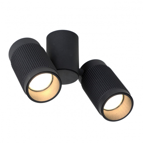Спот FAVOURITE Kinescope 2452-2U