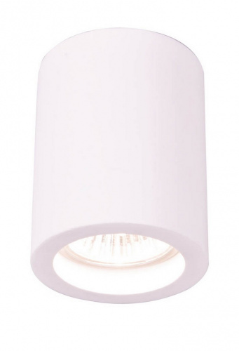 Накладной светильник Arte Lamp TUBO A9260PL-1WH