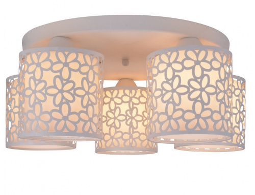 Потолочный светильник Arte Lamp TRAFORATO A8349PL-5WH