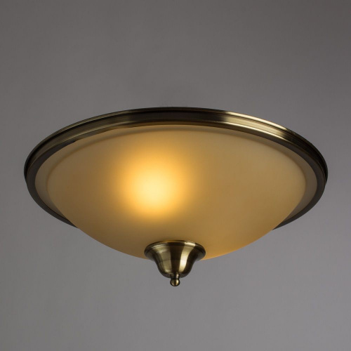 Потолочный светильник Arte Lamp SAFARI A6905PL-2AB