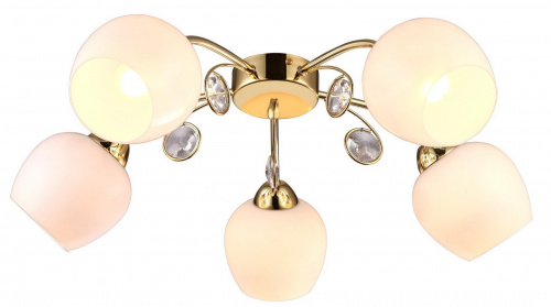 Потолочная люстра Arte Lamp MILLO A9549PL-5GO купить по низкой цене