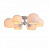 Потолочная люстра ST Luce CALMARE SL434.502.06