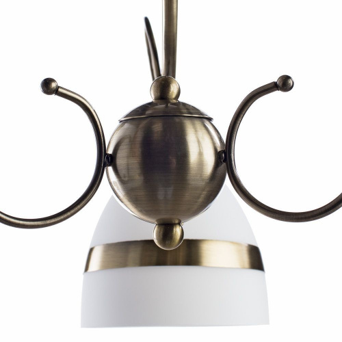 Потолочный светильник Arte Lamp NOEMI A6192PL-3AB