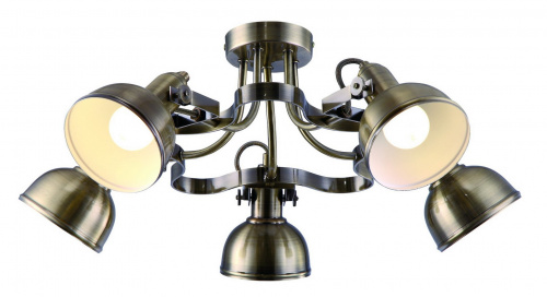Потолочная люстра Arte Lamp MARTIN A5216PL-5AB купить по низкой цене