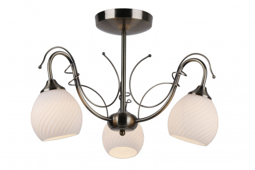 Потолочный светильник Arte Lamp GIRO A6285PL-3AB