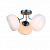 Потолочная люстра ST Luce ARANCIO SL482.502.03