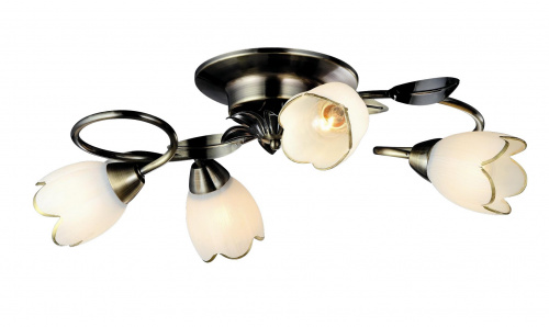 Потолочный светильник Arte Lamp PERCE A6061PL-4AB