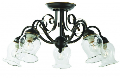 Потолочная люстра ST Luce SL145 SL145.302.05 купить по низкой цене