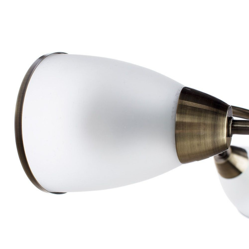 Потолочный светильник Arte Lamp INNOCENTE A6056PL-3AB