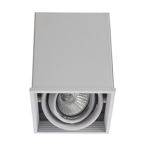 Накладной светильник Arte Lamp Cardani White A5942PL-1WH