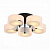 Потолочная люстра ST Luce FORESTA SL483.402.05