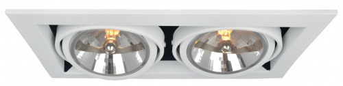 Технический светильник Arte Lamp CARDANI A5935PL-2WH