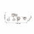 Подвесная люстра FAVOURITE Rosebud 2350-6U купить по низкой цене