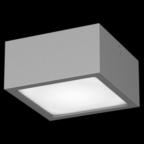 Уличный потолочный светильник Lightstar Zolla 380294